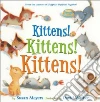 Kittens! Kittens! Kittens! Kittens! Kittens! Kittens!