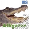 Alligator Alligator