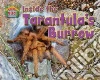 Inside the Tarantula’s Hole Inside the Tarantula’s Hole
