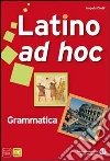 LATINO AD HOC LINGUA CIVILTA' 1 libro