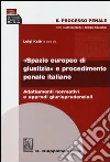 Il processo penale. «Spazio europeo di giustizia» e procedimento penale italiano. Adattamenti normativi e approdi giurisprudenziali Il processo penale. «Spazio europeo di giustizia» e procedimento penale italiano. Adattamenti normativi e approdi giurisprudenziali