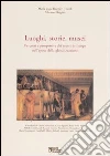 Luoghi, storie, musei. Percorsi e prospettive dei musei del luogo nell'epoca della globalizzazione libro