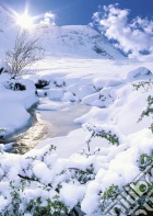Paesaggio invernale, scozia Paesaggio invernale, scozia